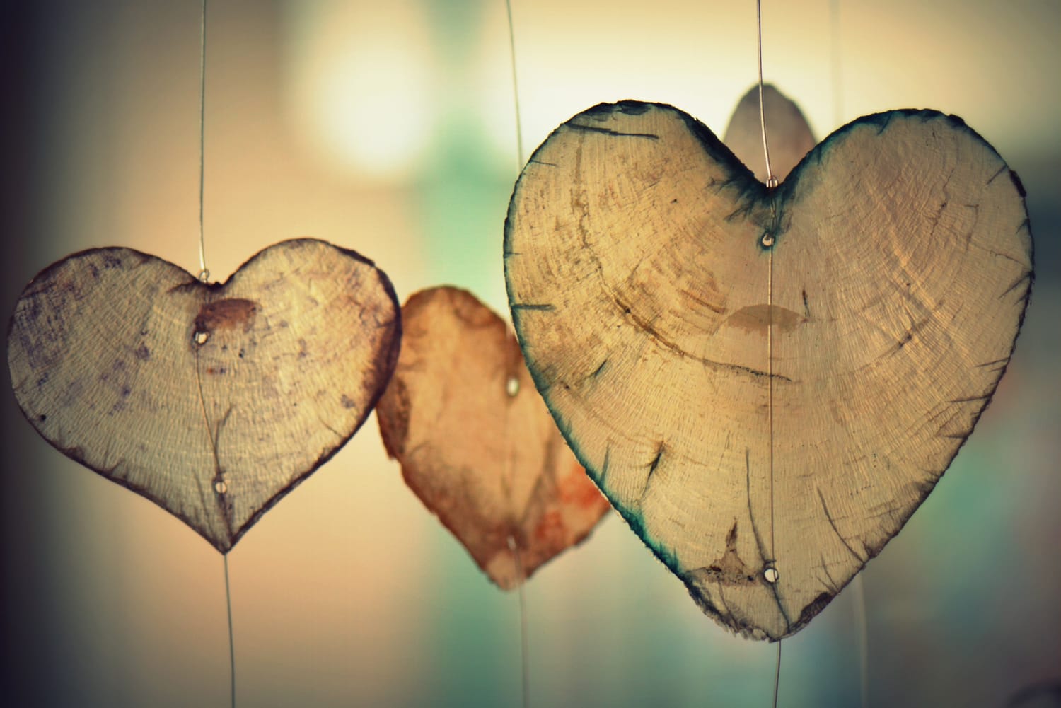 love-hearts-hanging-in-support-of-every-woman
