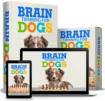 Brain Training For Dogs