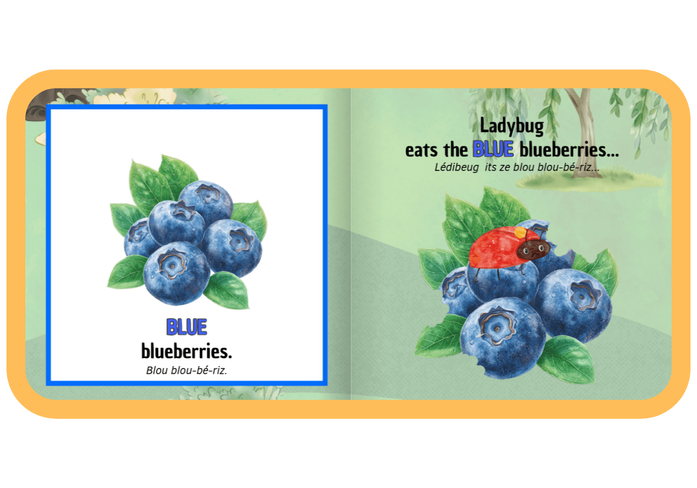 Une image montrant une double page d'un livre d'apprentissage de l'anglais pour enfants, présentée dans un cadre numérique orange clair. La page de gauche a un cadre carré bleu contenant une illustration détaillée de myrtilles bleues sur une tige avec des feuilles vertes. En dessous, le mot 'BLUE' est en gros caractères gras et bleus, suivi de 'blueberries.' en caractères plus petits et de sa prononciation '(Blou blou-bé-riz.)' en gris très petit. La page de droite montre un texte en haut : 'Ladybug eats the BLUE blueberries...' suivi d'un guide de prononciation '(Lédibeug its ze blou blou-bé-riz...)' en gris. En bas, une illustration plus grande d'un tas de myrtilles bleues sur un lit de feuilles vertes, avec une petite coccinelle rouge assise au sommet. Le style artistique est doux et illustratif.