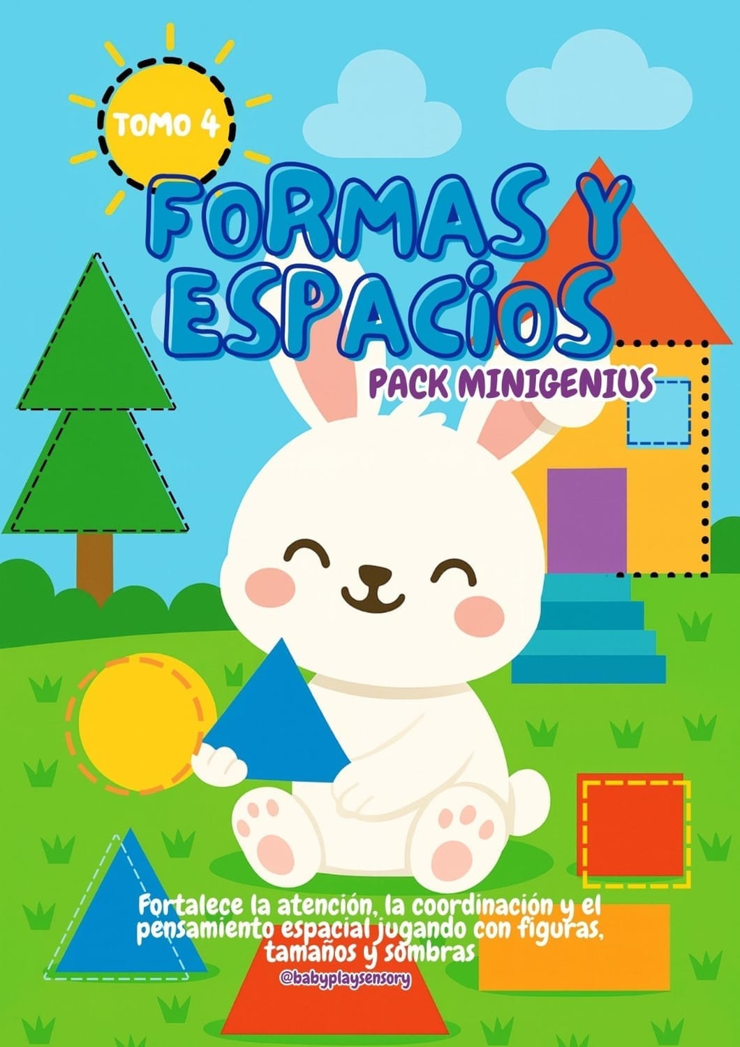 Actividades de Formas y Espacios Tomo IV