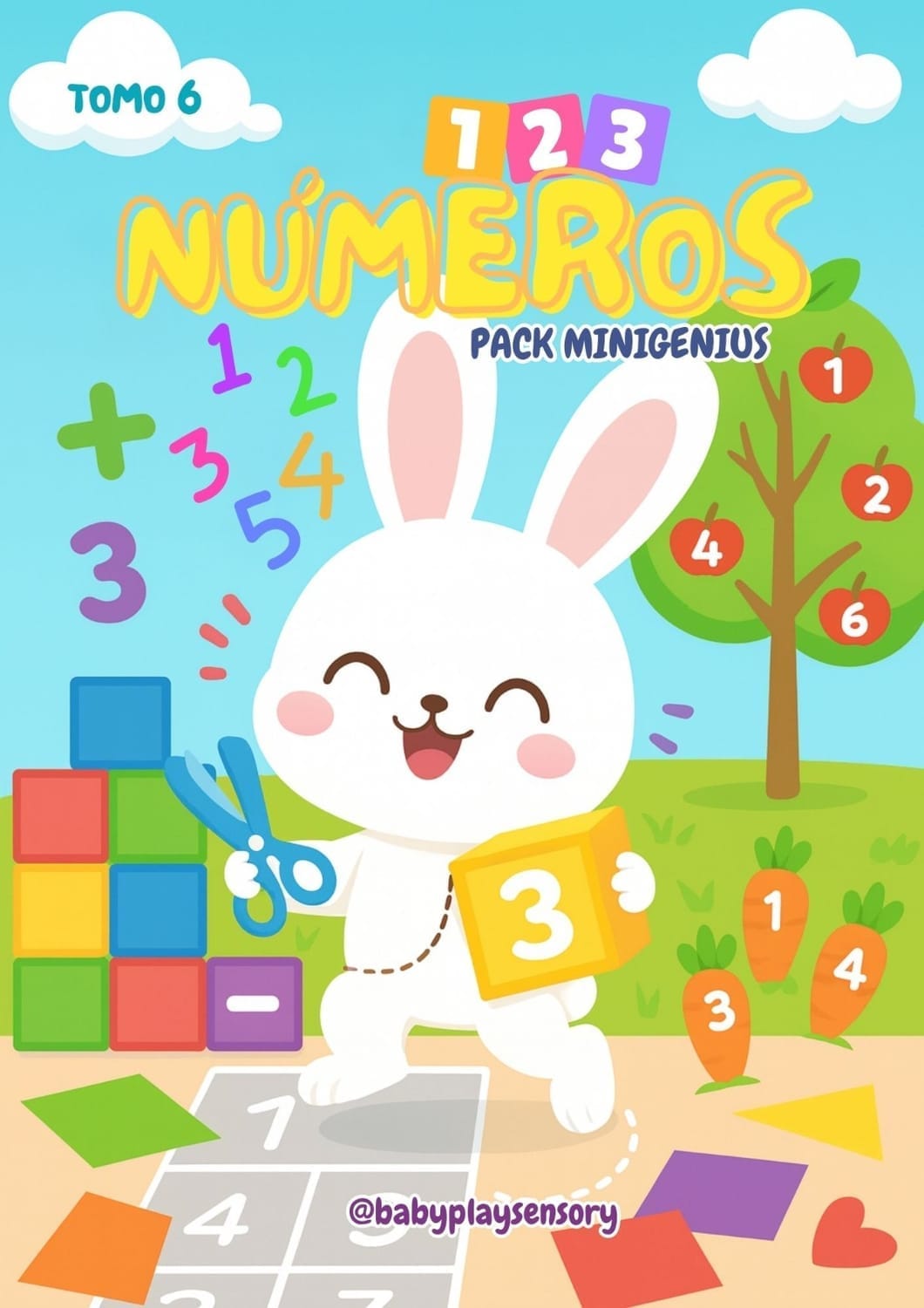 Actividades de Números y Conteo Tomo VI