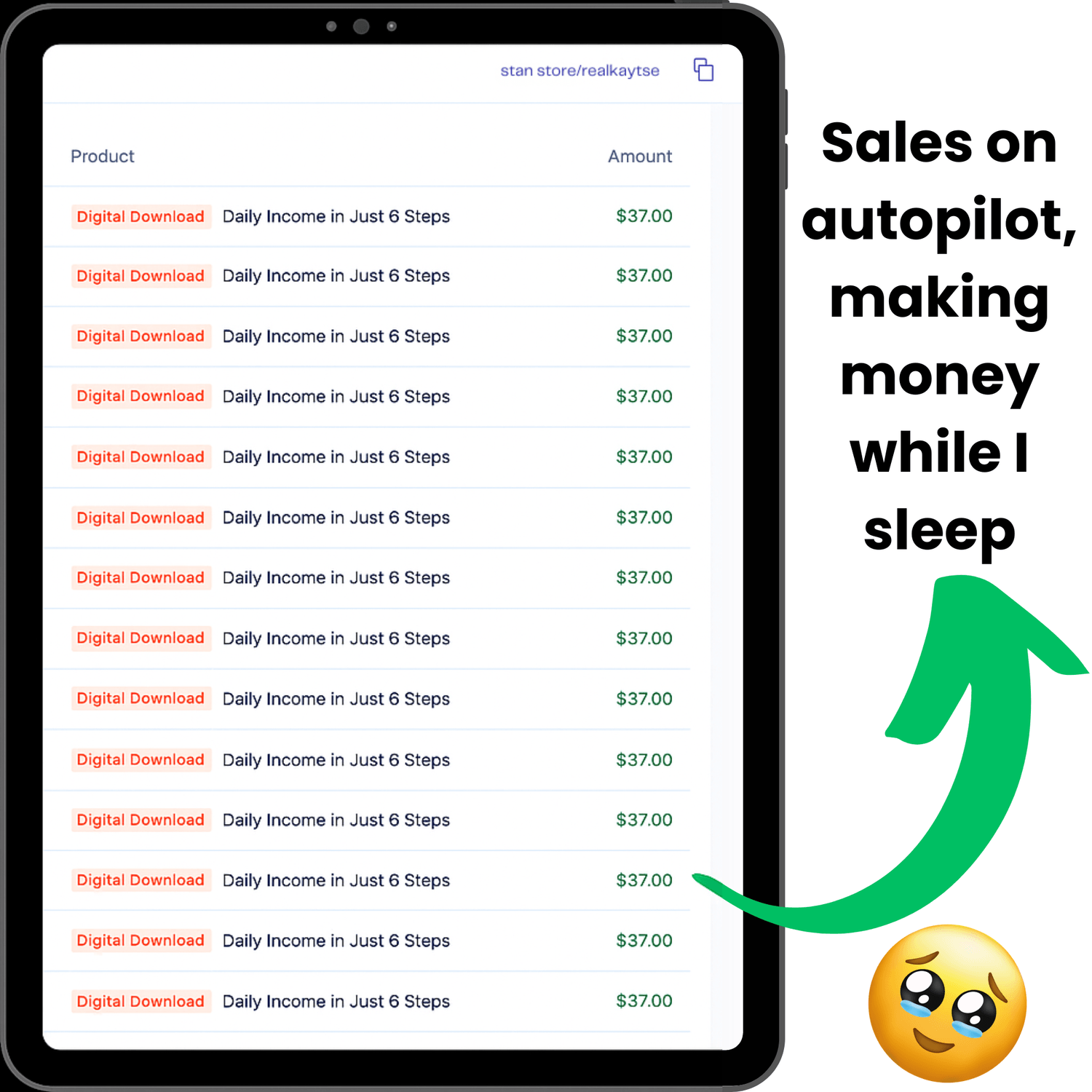 Collage of daily revenue screenshots from Stan Store dashboards, showing consistent income for students.