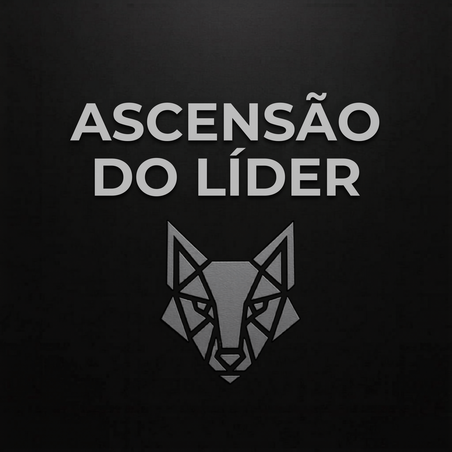 Ascensão do Líder, projeto criado por Ricardo Mordomo