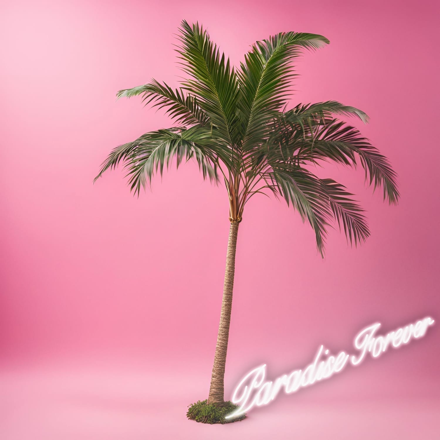 Oli Swan Paradise Forever Album Cover
