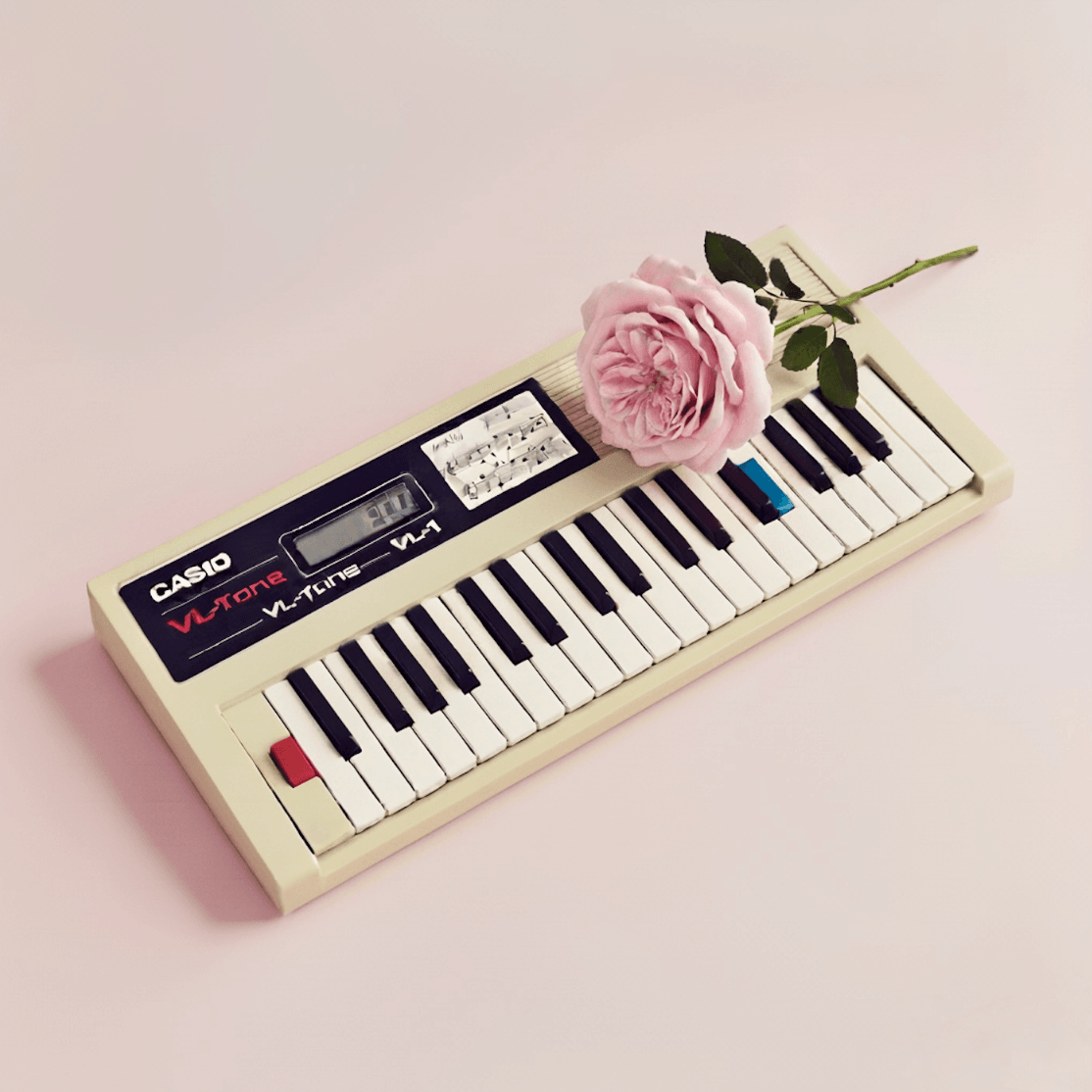 Oli Swan Sit and Wait