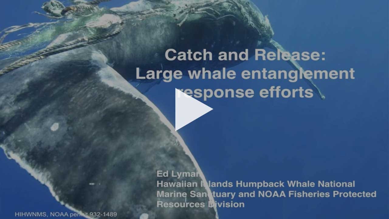 Petersburg Marine Mammal Center - Science Series - Catch & Release