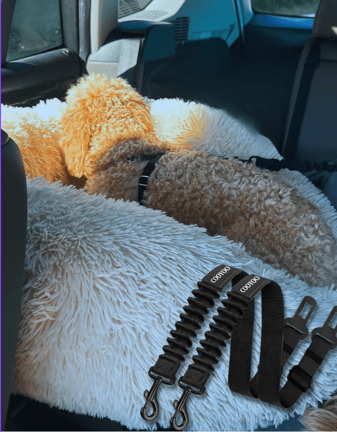 dog in car with seat belt harness
