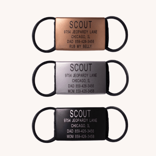 Personalized dog tag