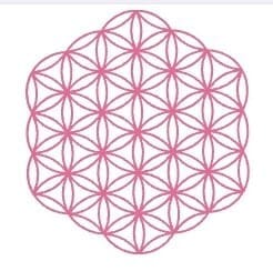 Første 1:1 TAT session