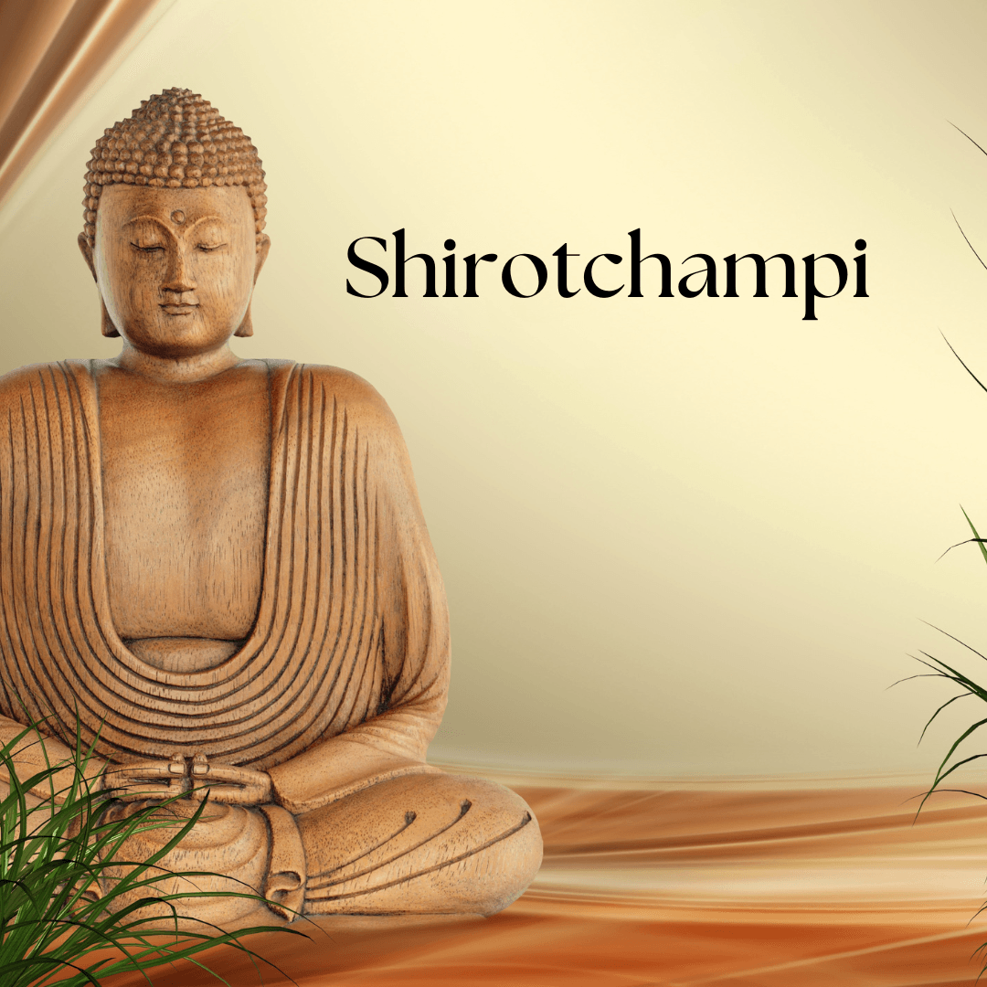 Formation Shirotchampi