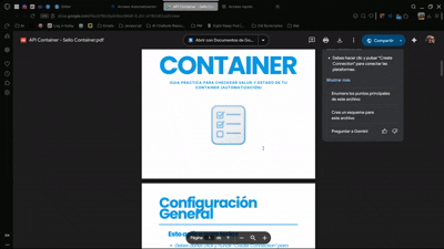 BONO 2 - Checklist Sello Container