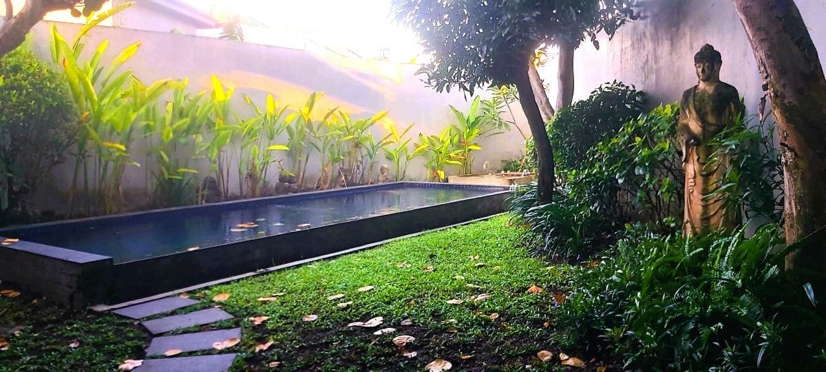 A quiet lap pool and garden with a stone Buddha statue during a housesit in Yogyakarta, Indonesia