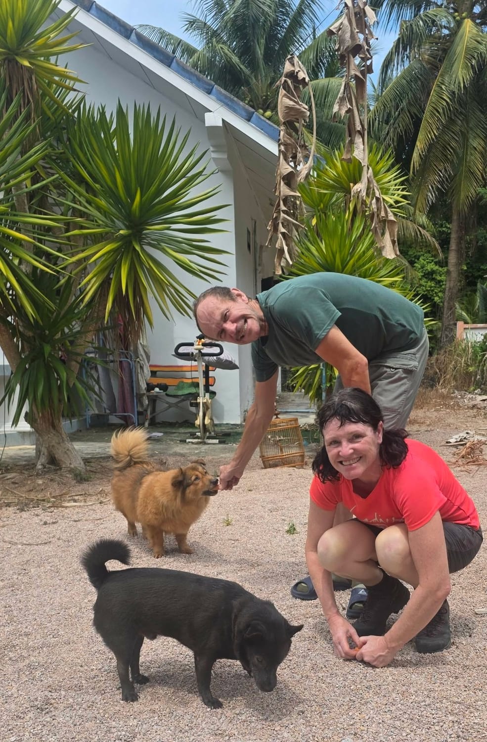 Paula and her partner feeding two dogs during a housesit in Thailand