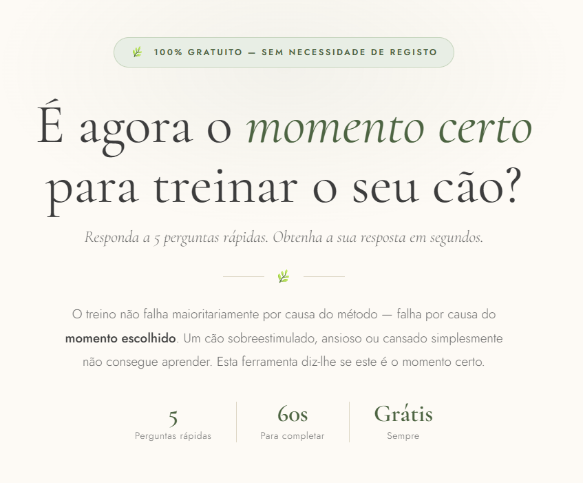 calculadora de treino para cachorros