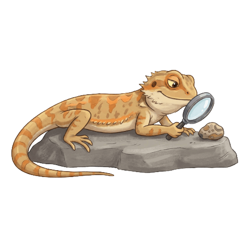 Cartoon lizard looking at a rock through a magnifying glass, representing boredom, used for social-emotional learning activities with children.