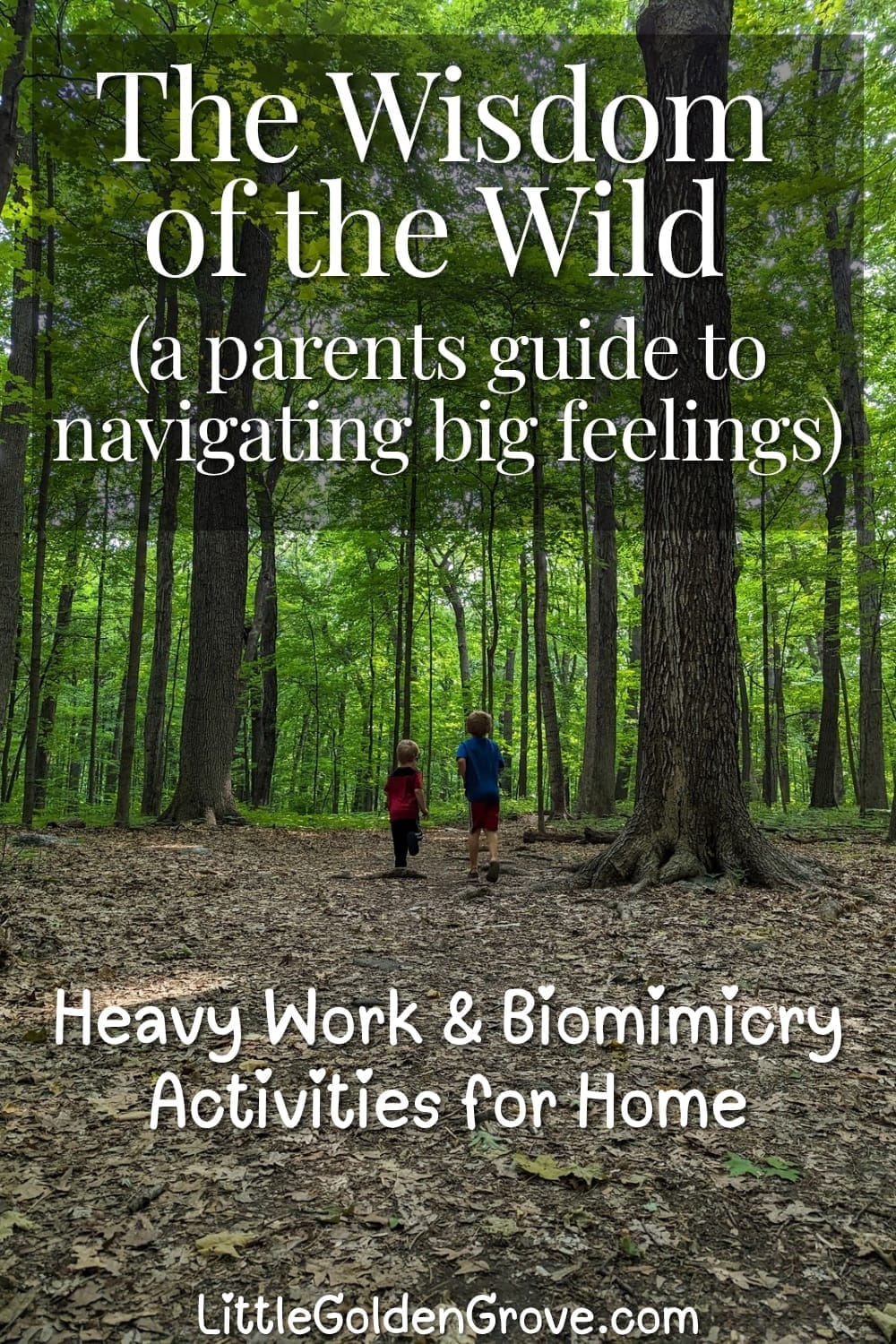 A stack of children's social emotional learning books including The Color Monster and Jabari Jumps on a white marble table with a "Wild Hearts, Calm Minds" text overlay