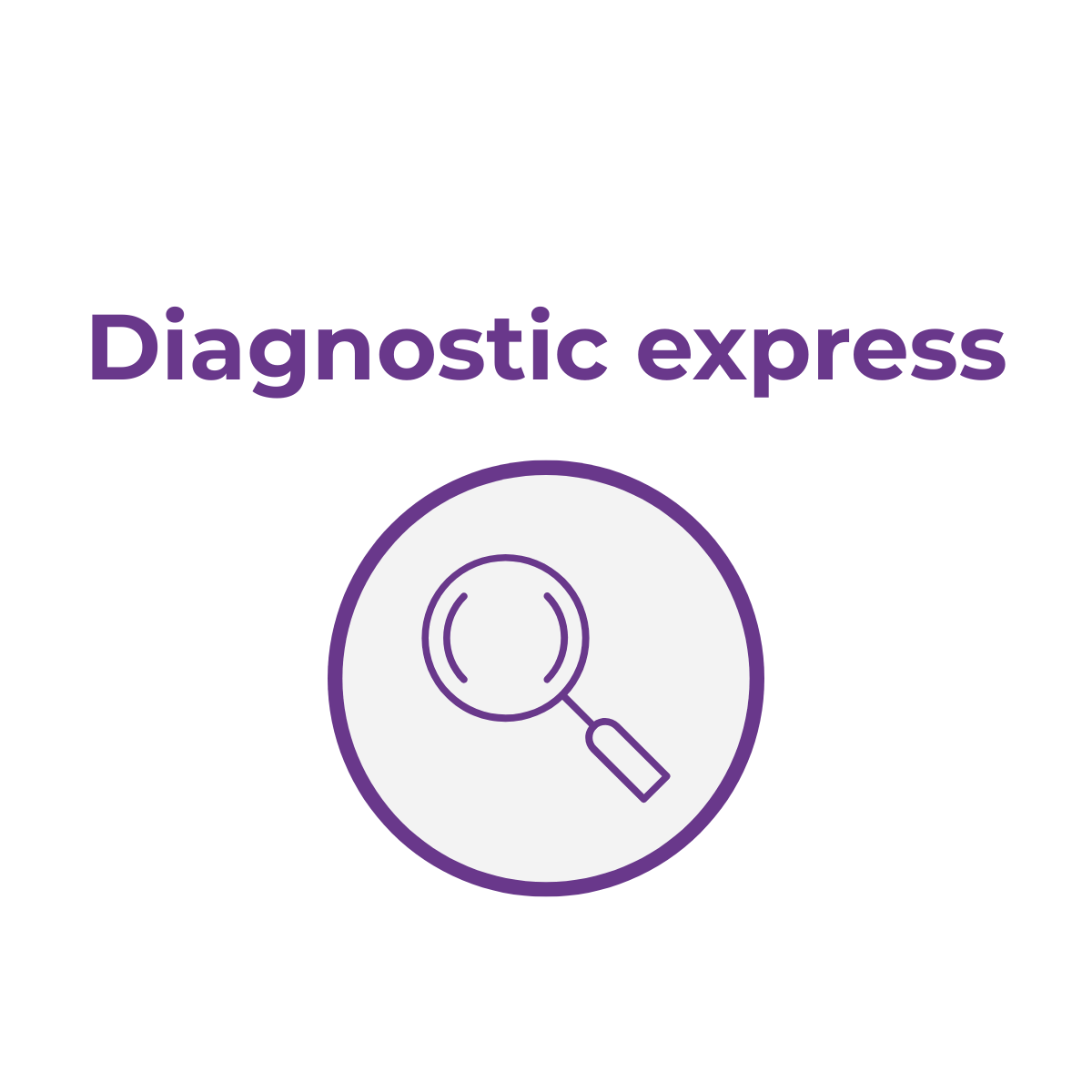 Image d'illustration del a formule 1. Diagnostic express