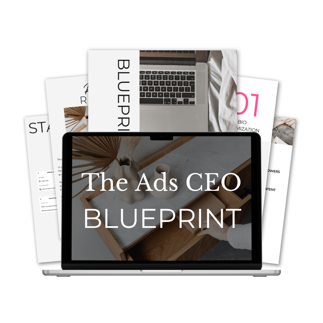 The Ads CEO Online Ads Course