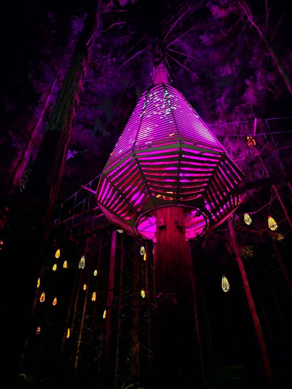 Kakao-Zeremonie mit handgerollten Bio Vollwert Kost Dubai-Kugeln