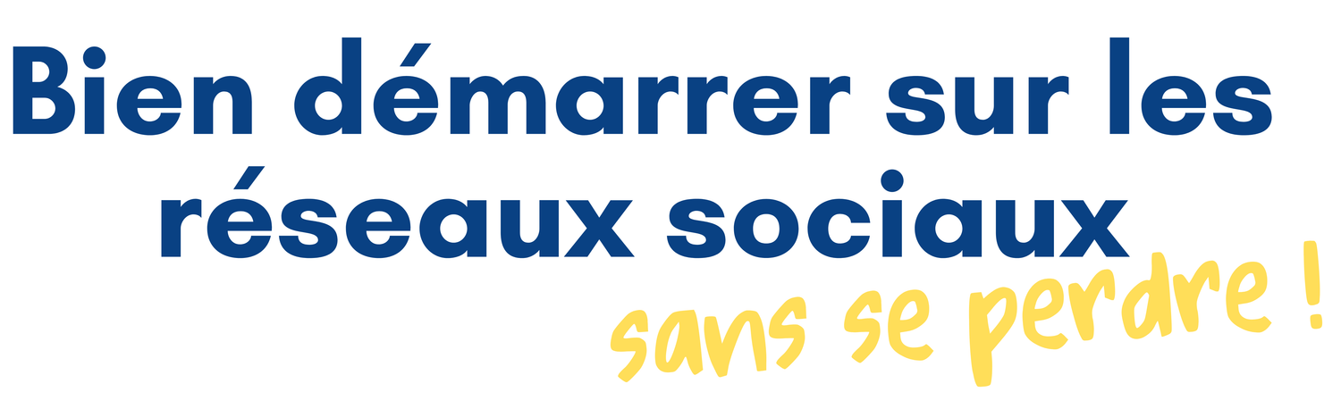 porteur de projets reseaux sociaux