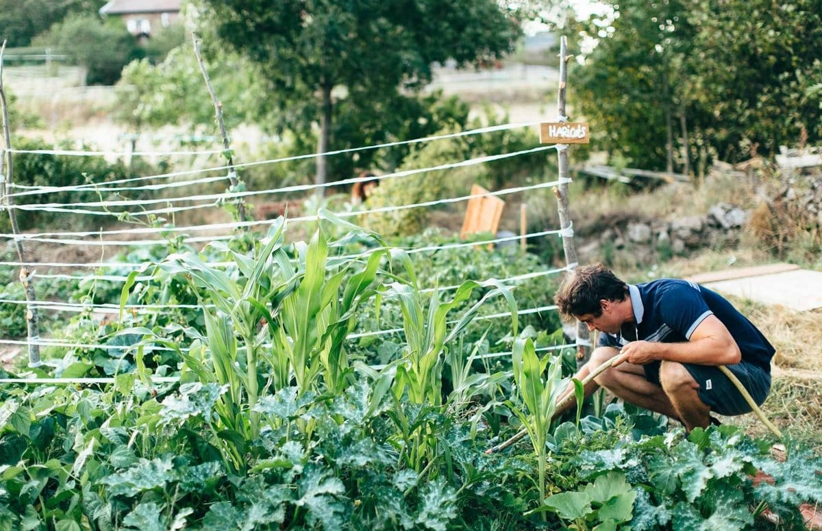 Henri Landes dans le potager de sa ferme en Haute-Loire