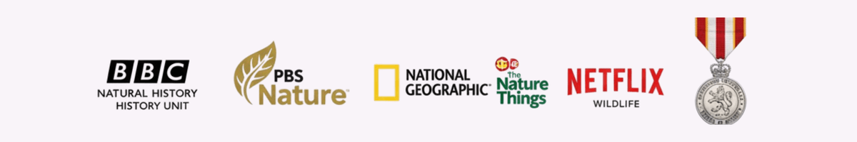 Eric Pittman, cinematographer for BBC and Netflix, featured in The Bird in My Backyard documentary press logos for BBC, CBC, PBS, NETFLIX, The Nature of Things, National Geographic, Medal of Bravery 