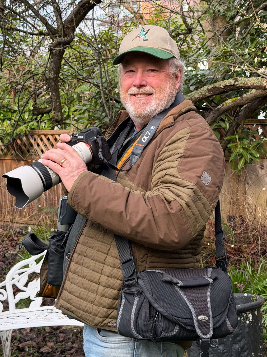 A female hummingbird sitting on a camouflaged nest built into the lichen-covered branches of a plum tree, photographed by Eric Pittman