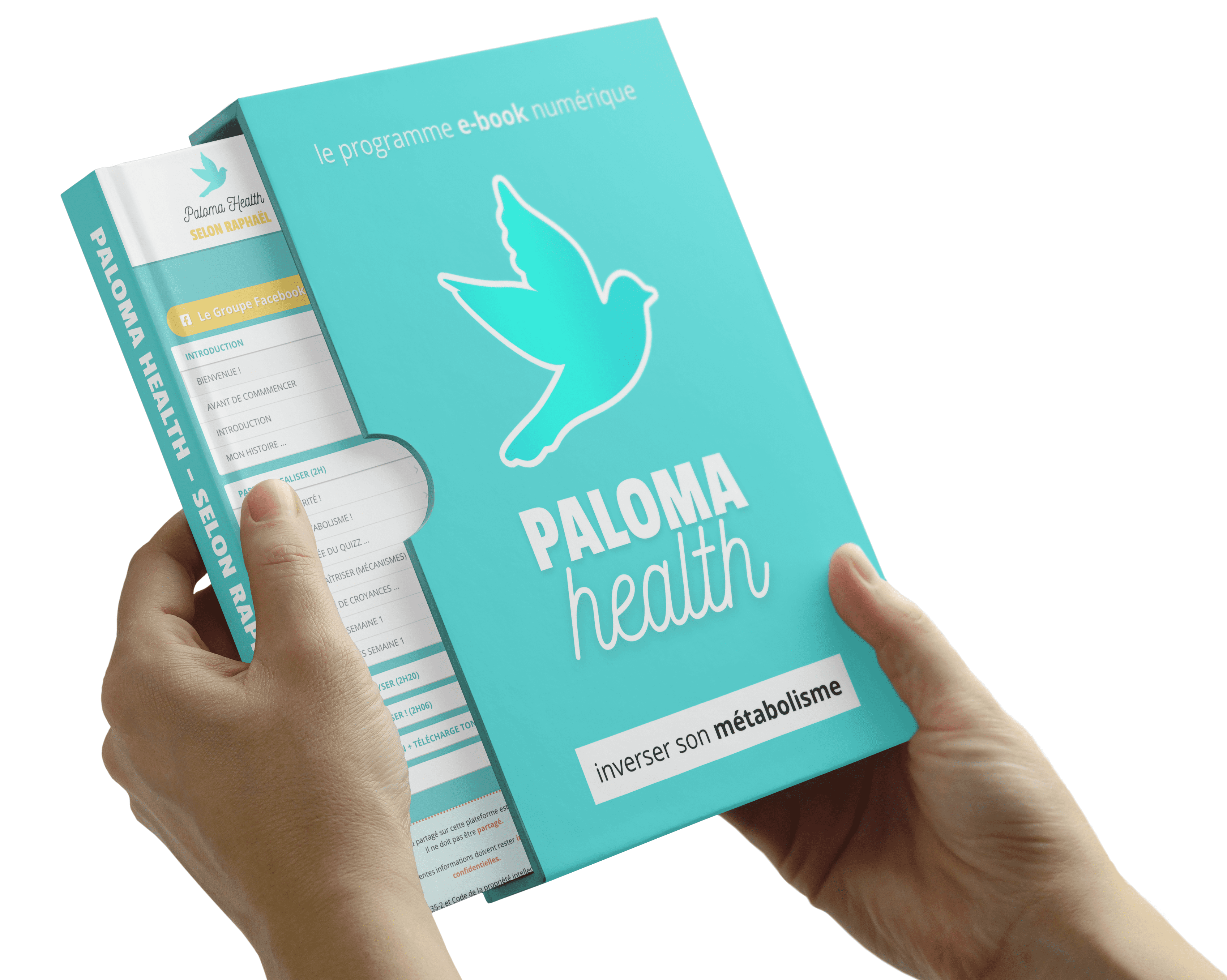 Paloma Health