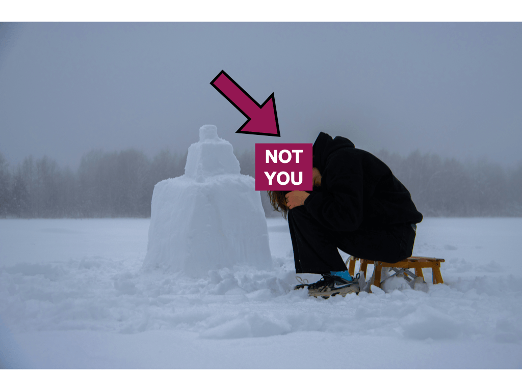 photo: person sitting bent over with their head in their hands, on a sled, next to a snow stack, on a snowy field with a forest in the background. Over their head is the typography "NOT YOU" with an arrow pointing to "NOT YOU" .