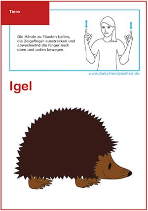 BabyHandzeichen für Igel
