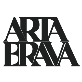 artabrava, seo, sem, ecommerce, crm