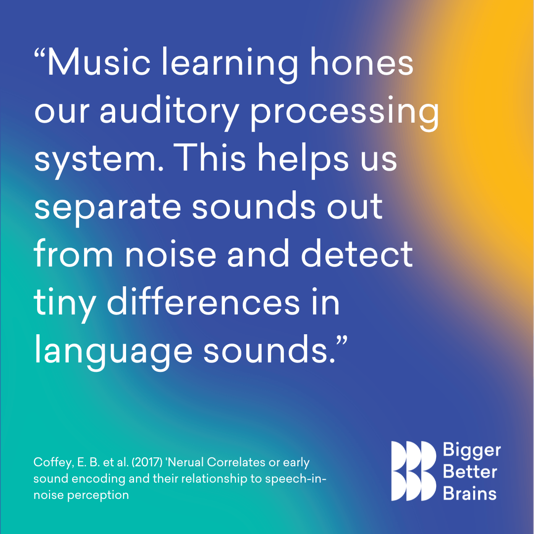 Music learning & our auditory system - Sounds of Joy Music Studio