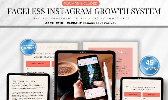Faceless Instagram Growth System PLR | Grow Without Showing Your Face | 45 Page DFY eBook