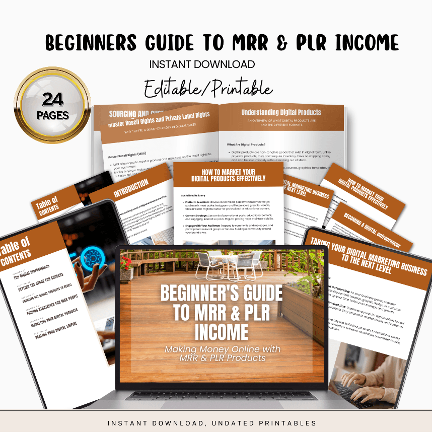 Beginner’s Guide to MRR & PLR Income