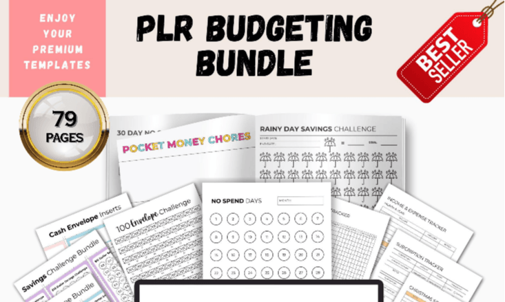 PLR Budgeting Bundle | 79 Printable Pages | Savings Trackers, Cash Envelopes, No Spend Challenge