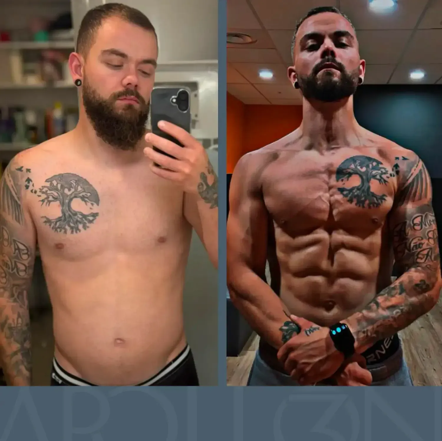 Transformation de Nelson