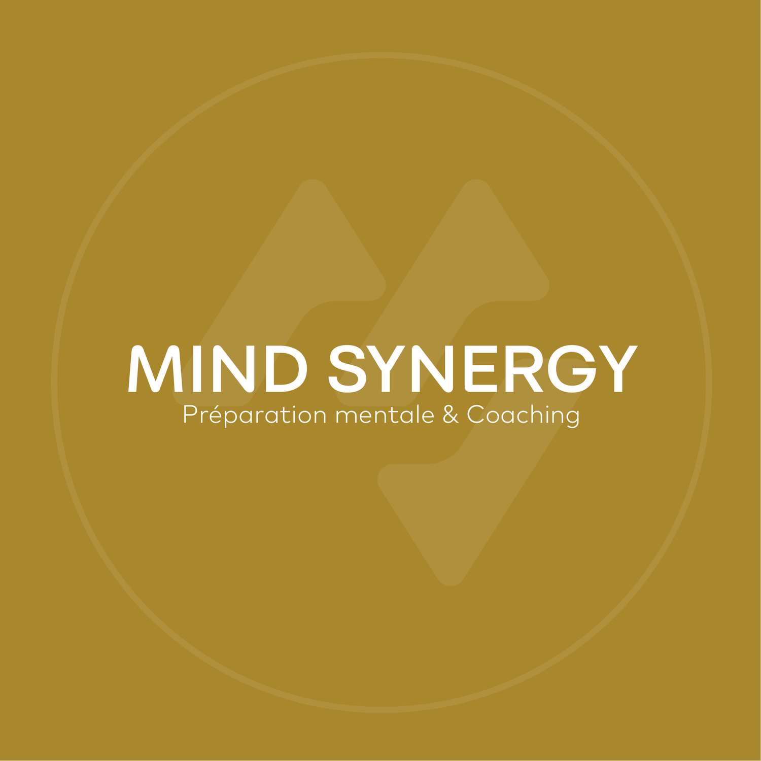 MindSynergy