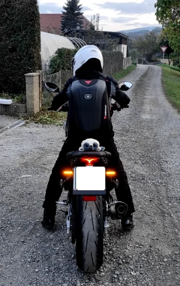 PK on a ride, grounded and at peace after years of personal emotional clearing work