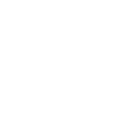 logo instagram