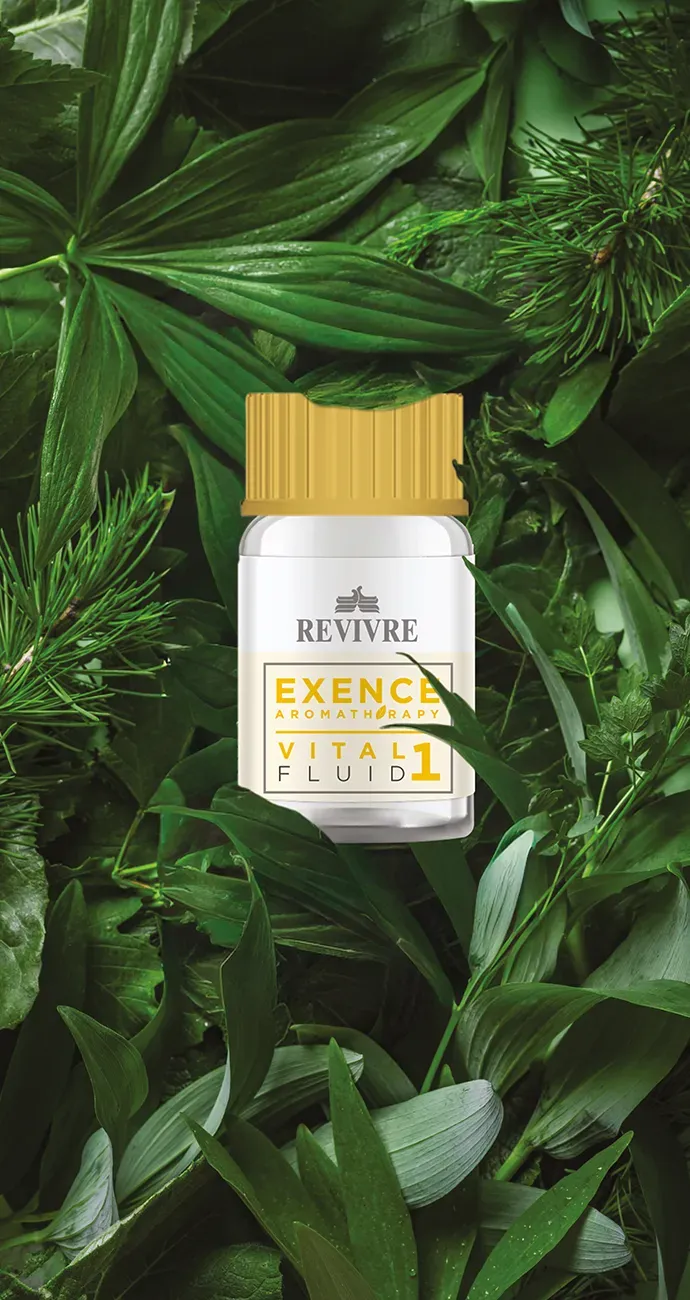 Revivre España | Backstagelab ecosistema para salones de peluquería