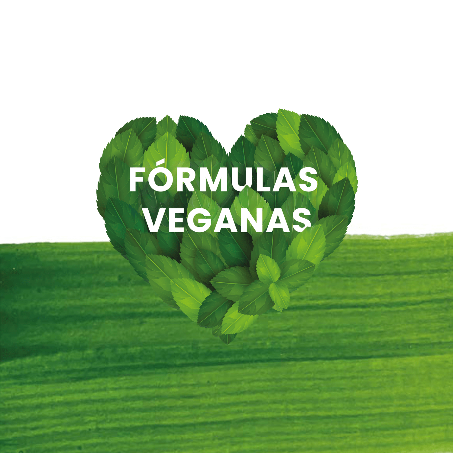 Revivre España | Backstagelab ecosistema para salones de peluquería