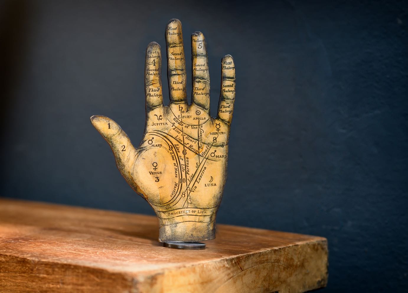 Palmistry cover image: a hand used as a symbolic map for palm reading