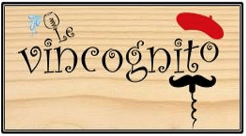logo du vincognito