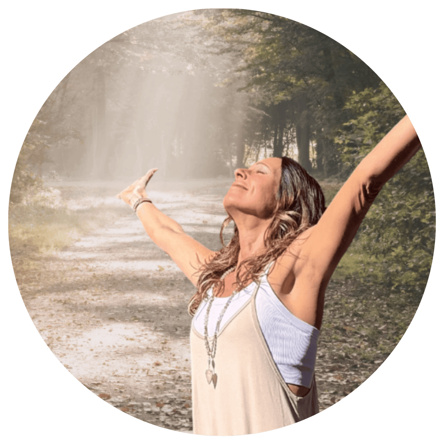 energy + hormone optimization