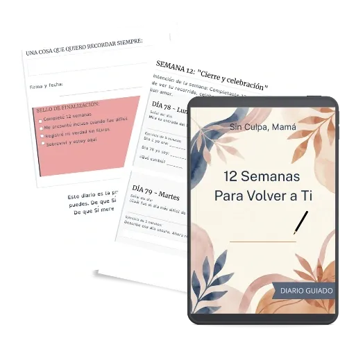 Diario Guiado 12 Semanas