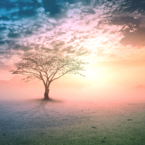 emotional trauma stored in the body