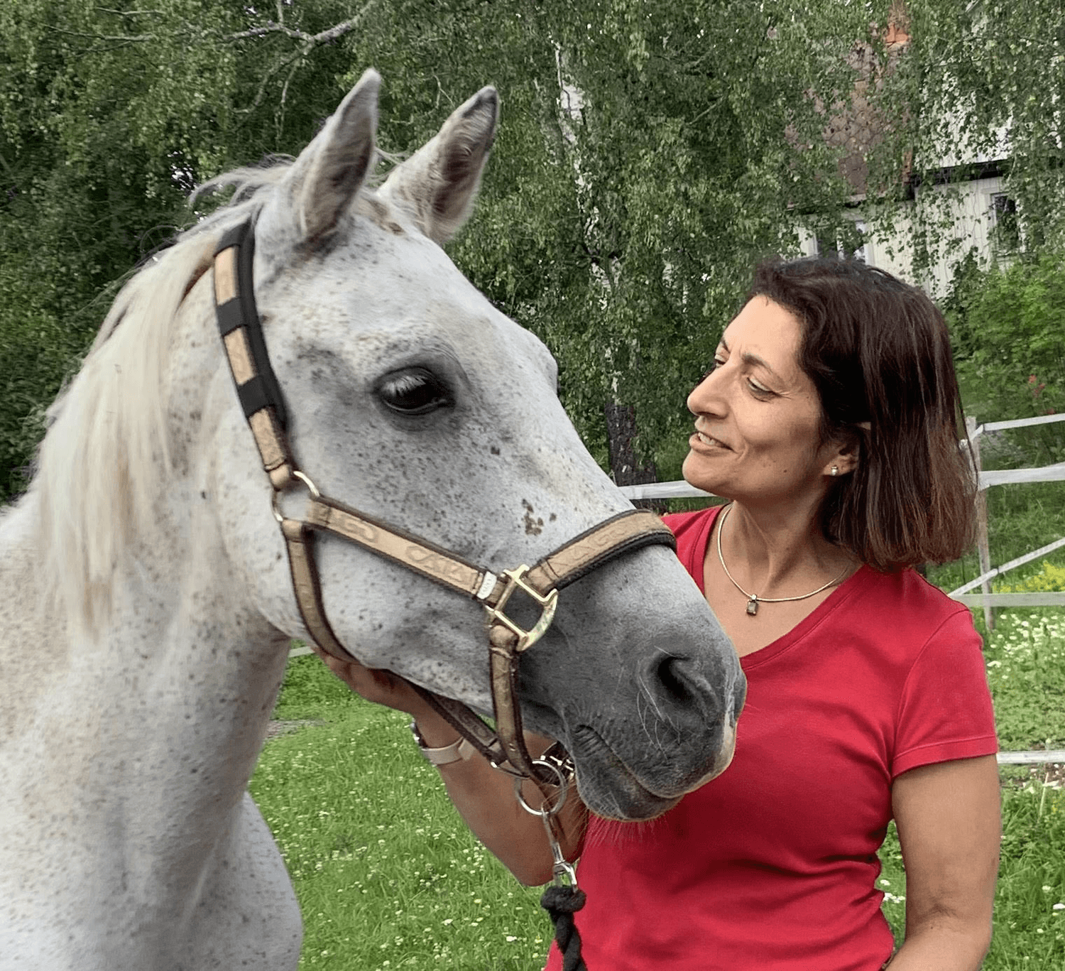 Dr Karen Wild