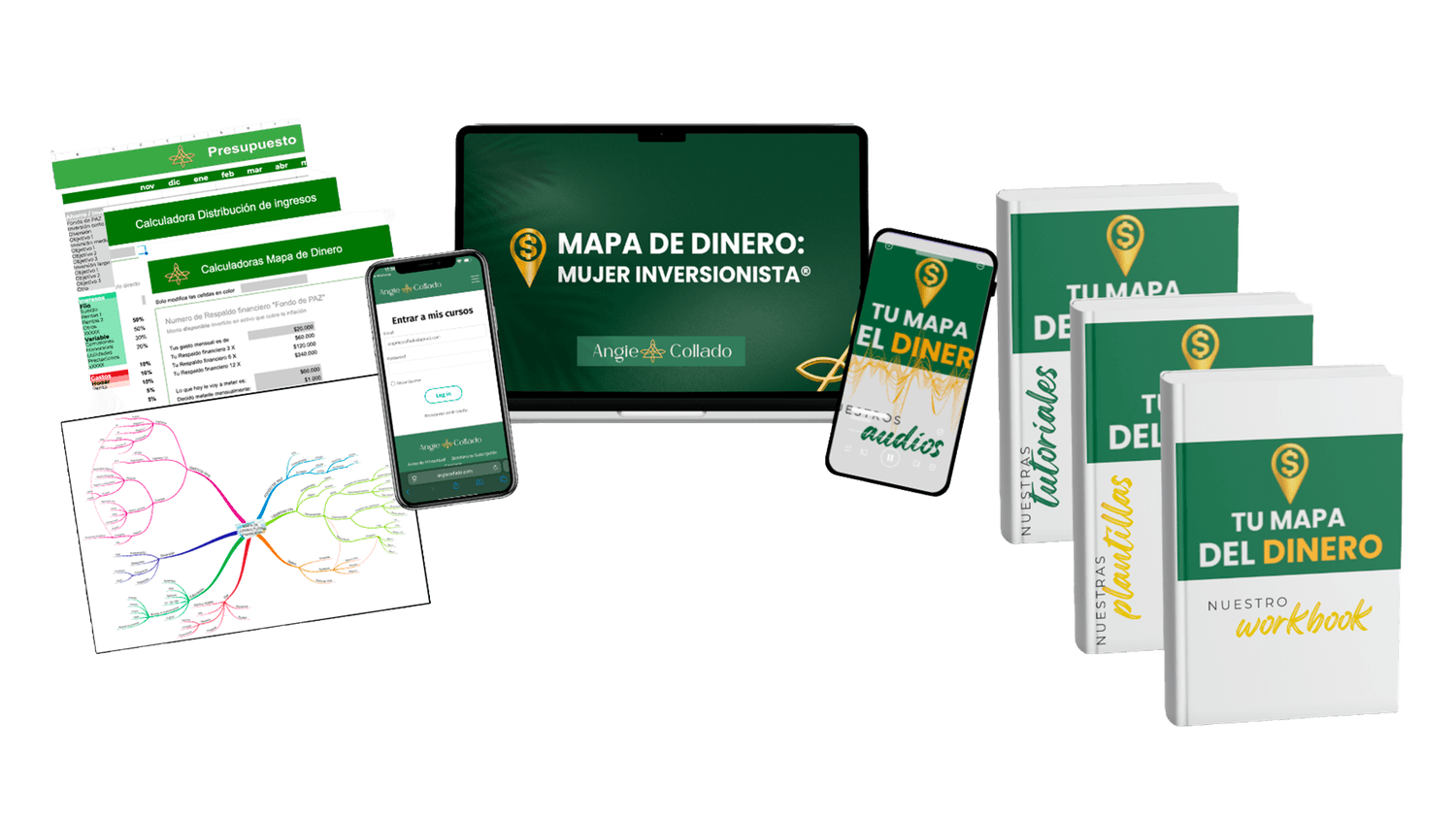 Mapa de Dinero - Programa de mentoría
