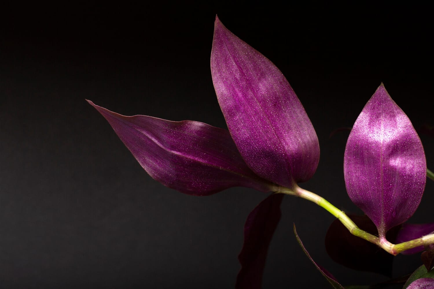 The right way to grieve