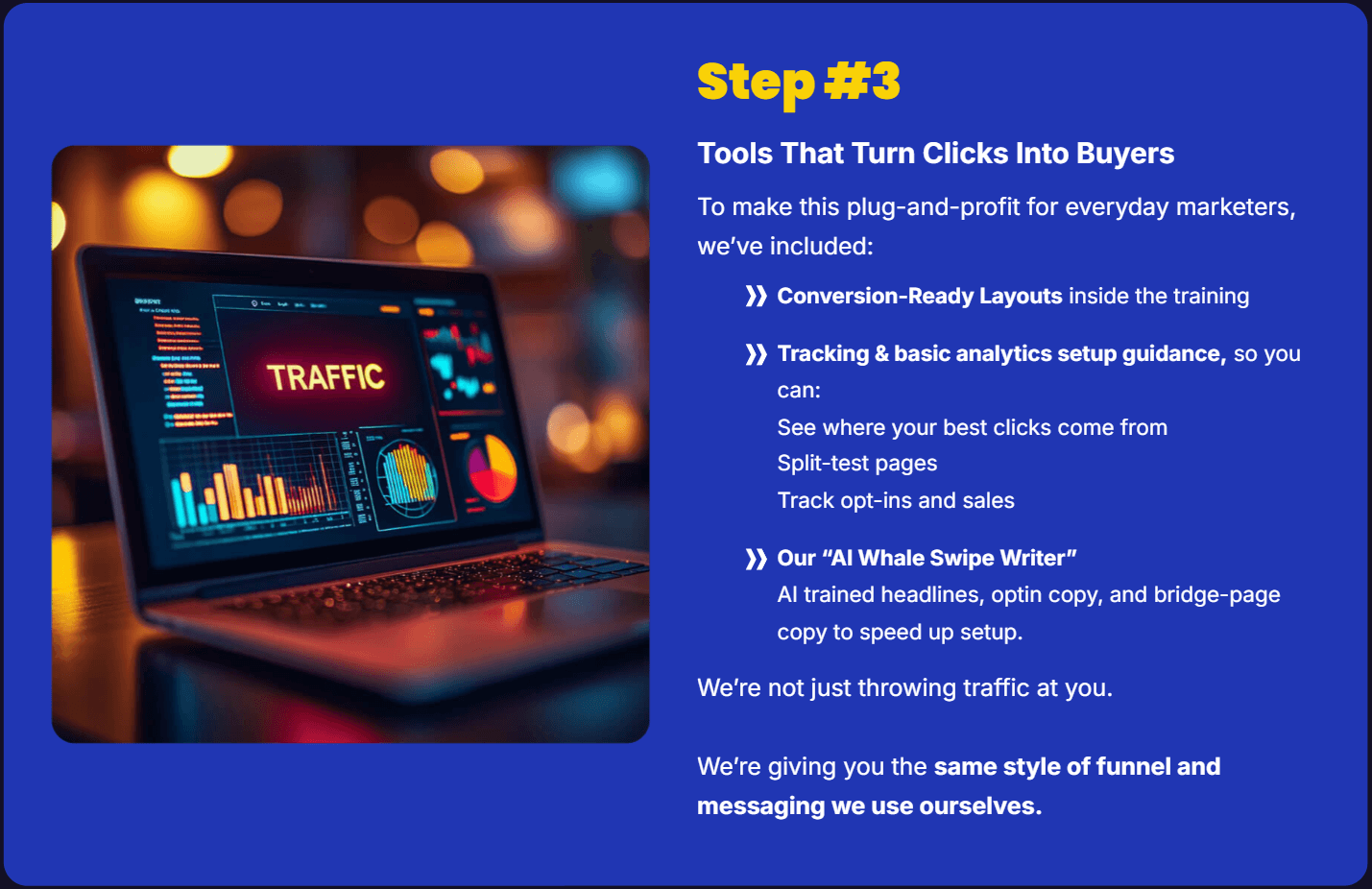 ai traffic whale review